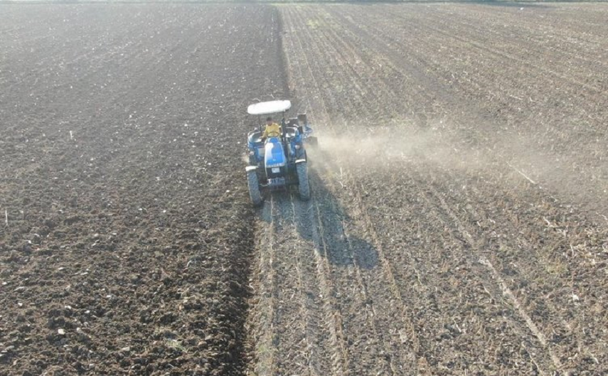 Babası tarlada çalışacak işçi bulamayınca 3 bin 500 kilometre yol gelip yardım ediyor